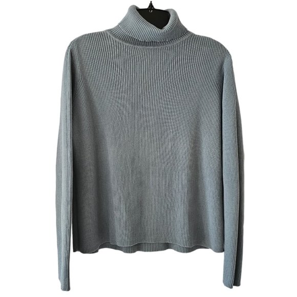 Petite Sophisticate Sweaters - Petite Sophisticate LS Ribbed Turtleneck Top | Like New | MP | Dusty Blue